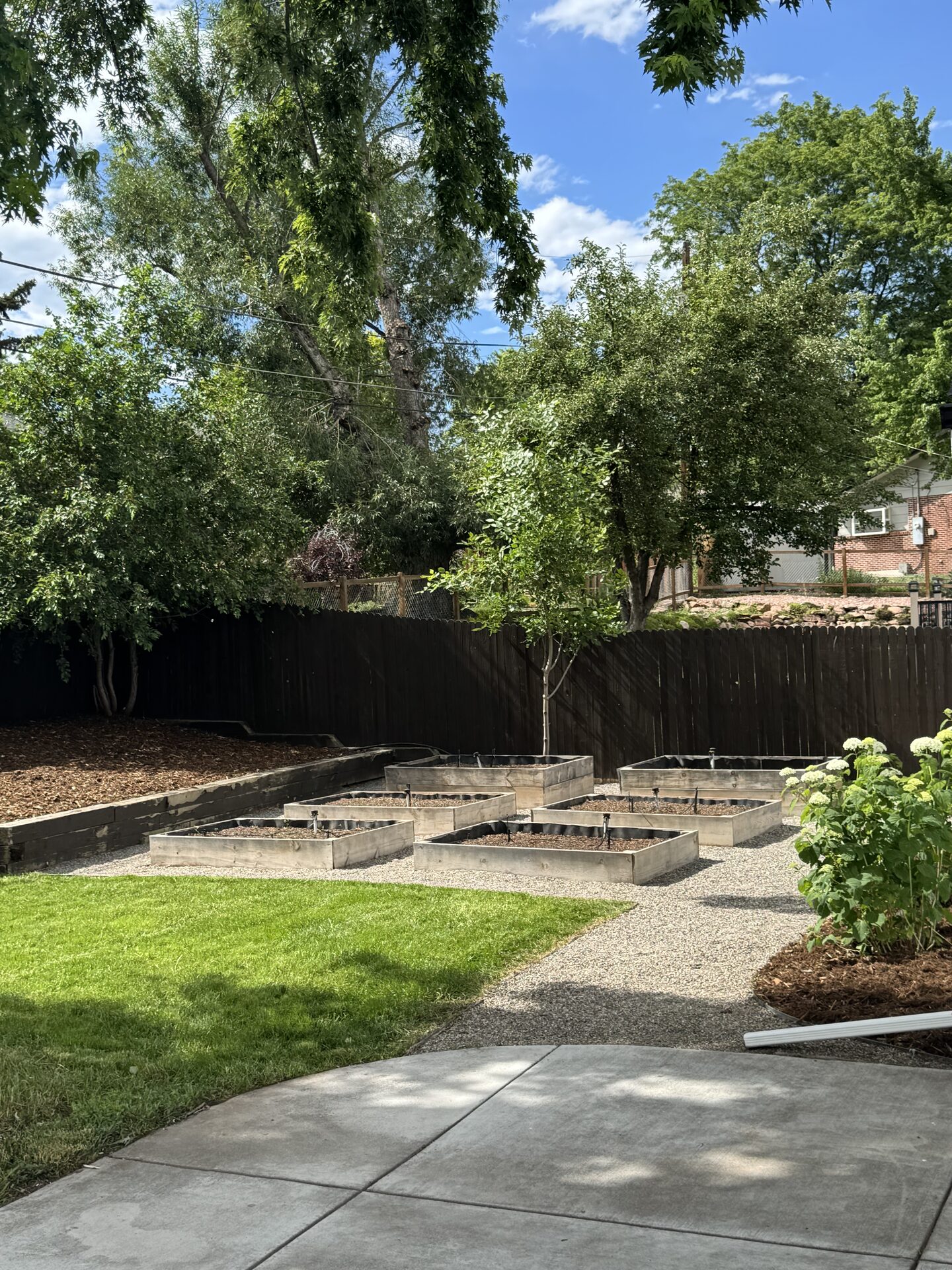 Backyard with raised beds, gravel paths and manicured edges
