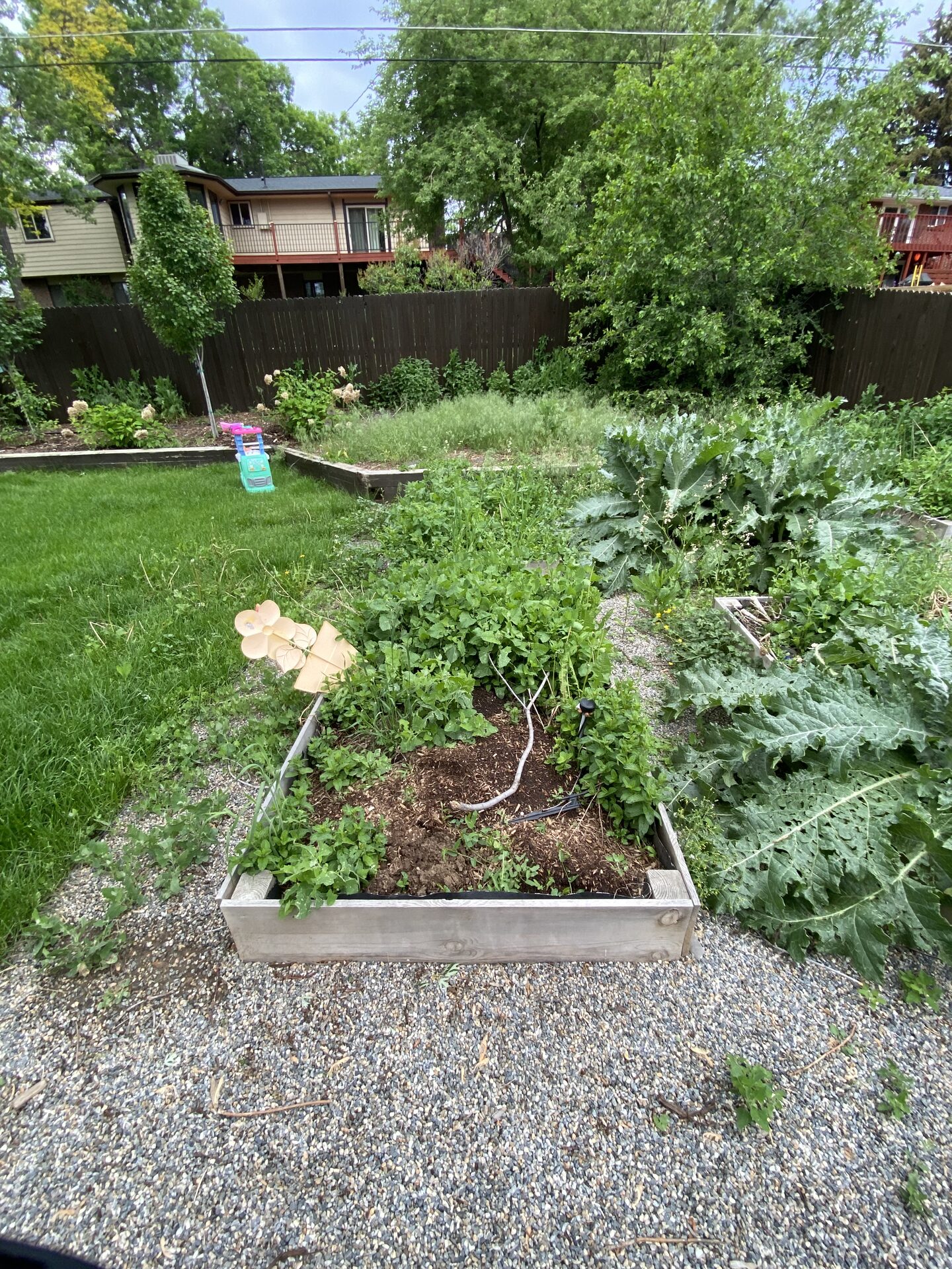 Garden bed before seasonal cleanup