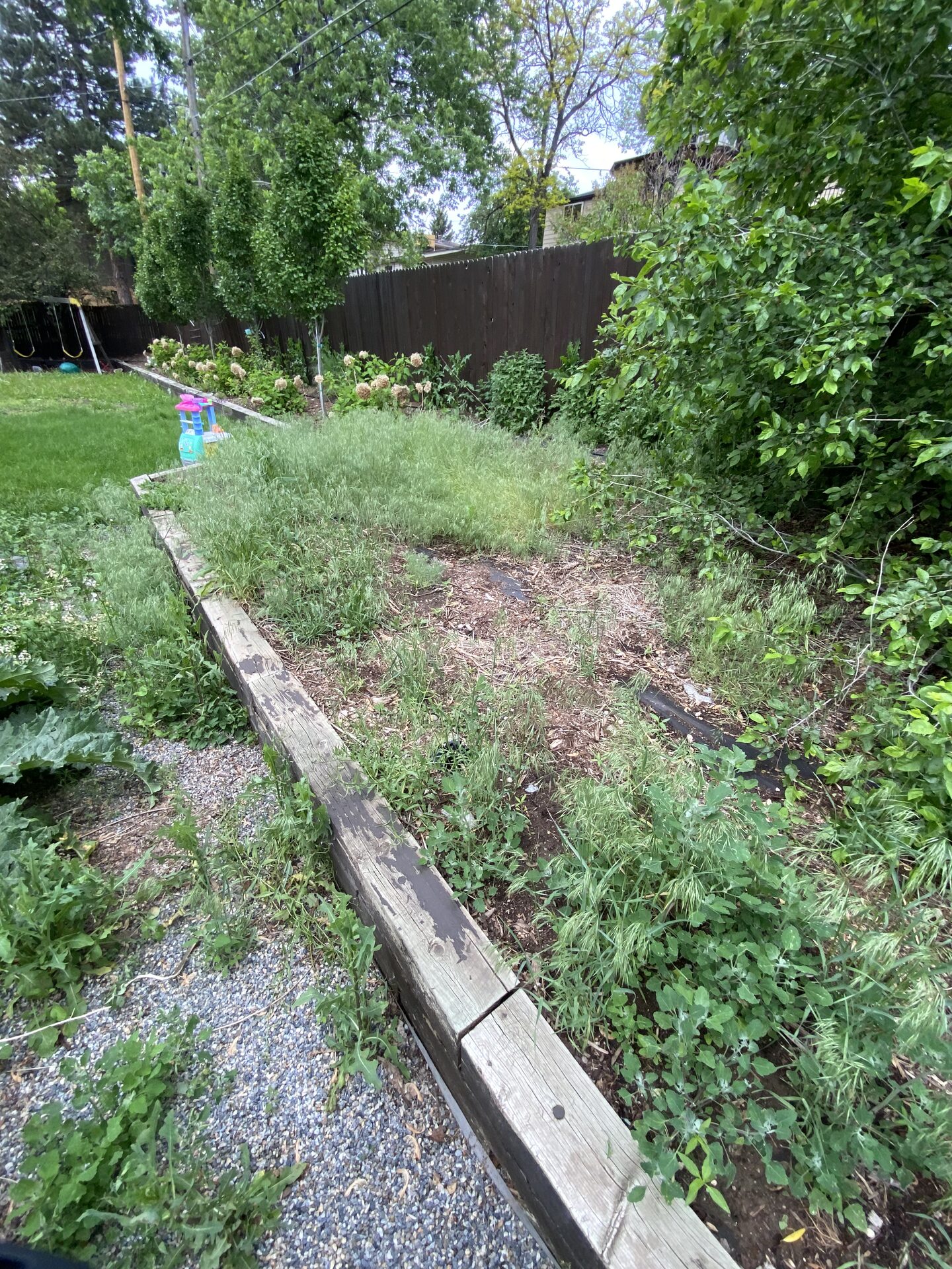 Wide view of cleanup project before service