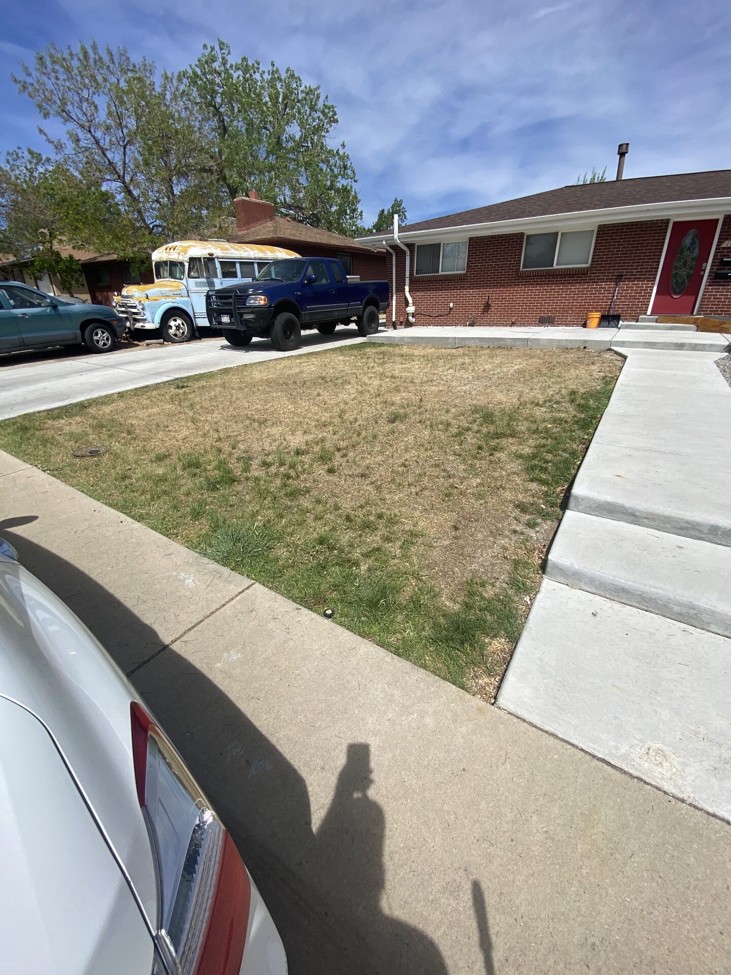 Front lawn before lawn care improvement
