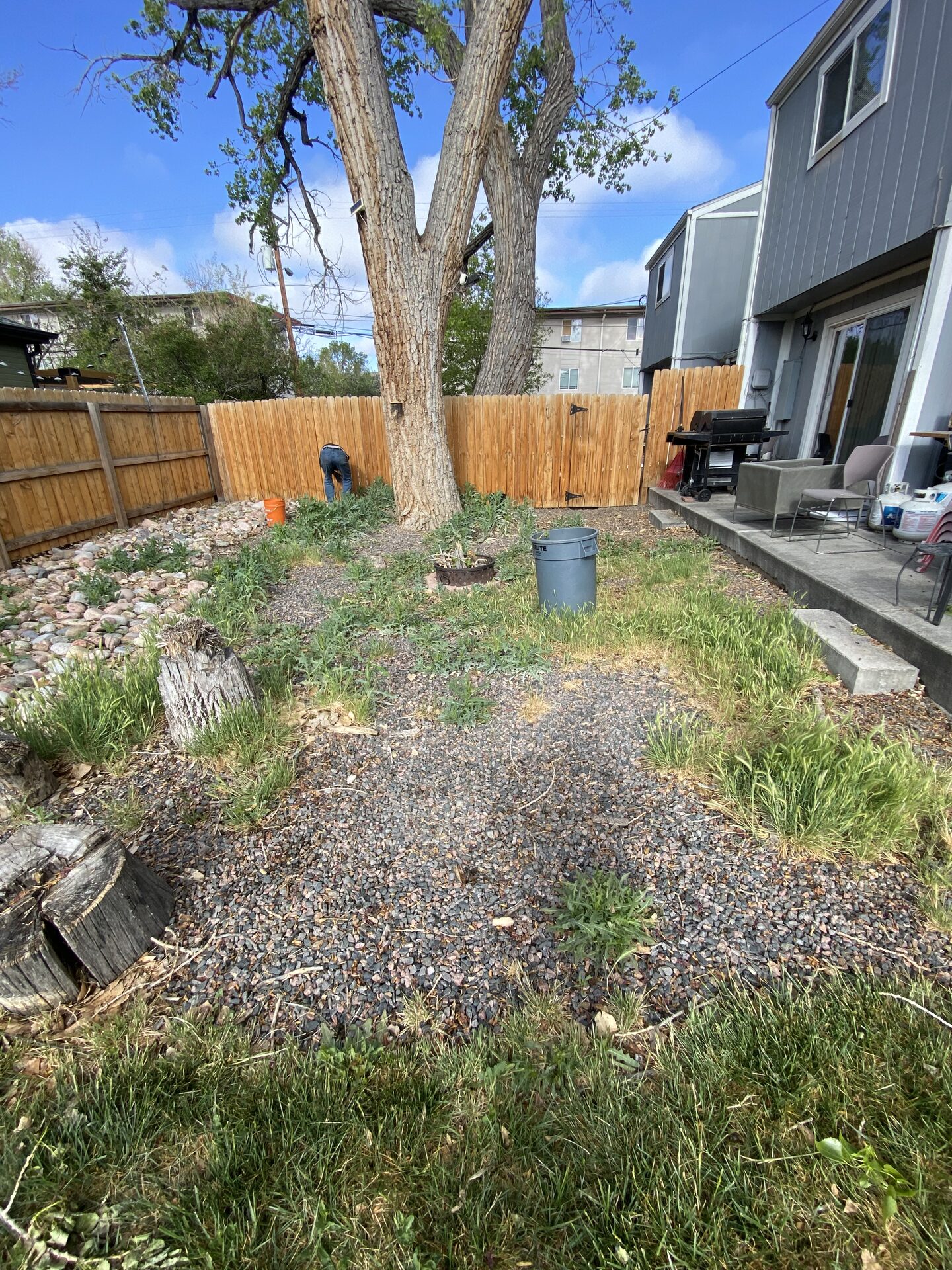Backyard before cleanup and landscaping